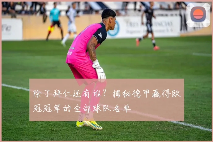 除了拜仁还有谁？揭秘德甲赢得欧冠冠军的全部球队名单