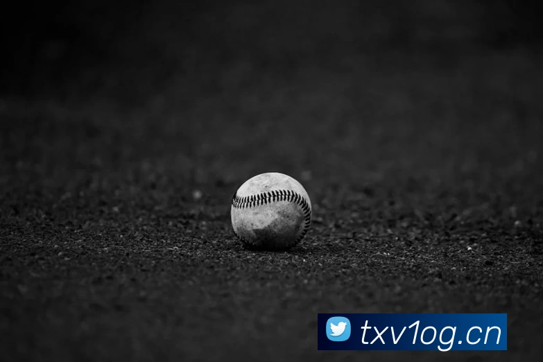 开云app官方版入口app平台生态图